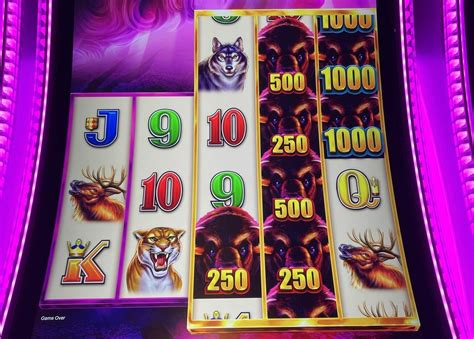 neily 777 slot wins